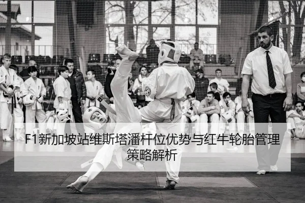 F1新加坡站维斯塔潘杆位优势与红牛轮胎管理策略解析