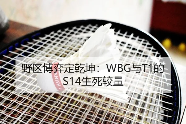 野区博弈定乾坤：WBG与T1的S14生死较量 | yaxin